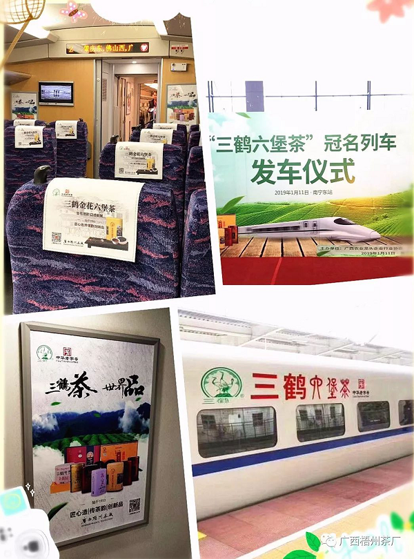 圖片7.png 圖片7.png